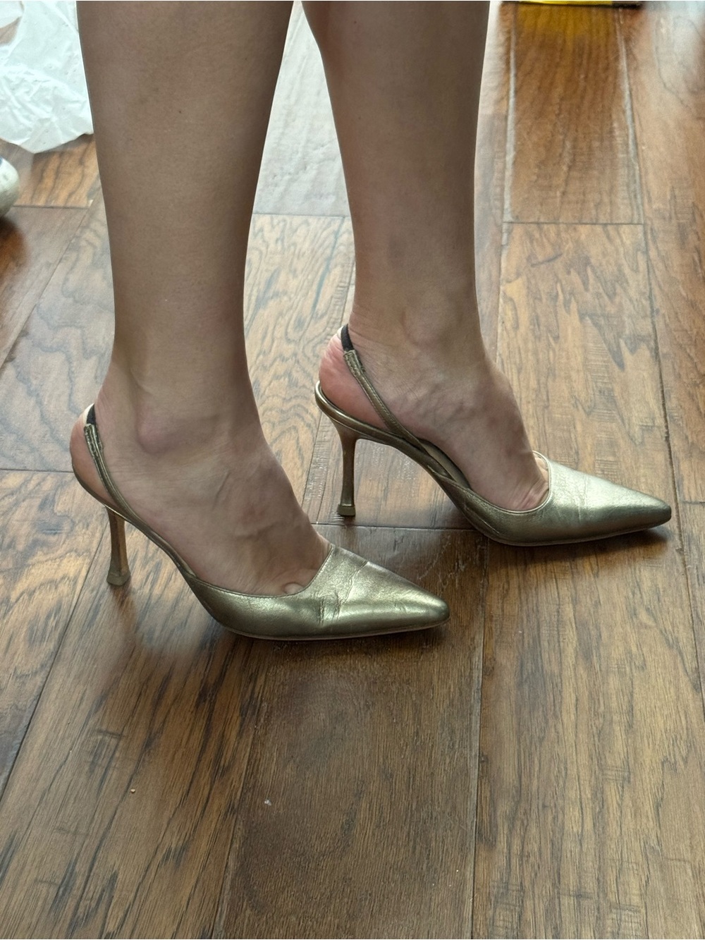 Manolo Blahnik Metallic Gold Pointed Slingback Pumps
